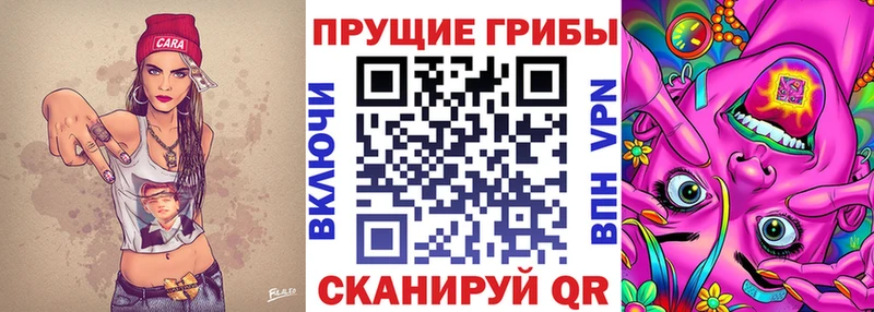 даркнет сайт Лянтор Псилоцибиновые грибы Psilocybine cubensis